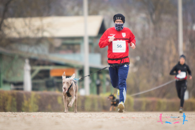 Canicross © SpeedRunners.at