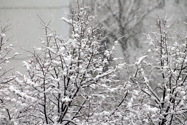 dieses Foto entstand heute morgen um ca. 7:00 und ist vom Wohnzimmerfenster (5.Stock) aus aufgenommen worden...