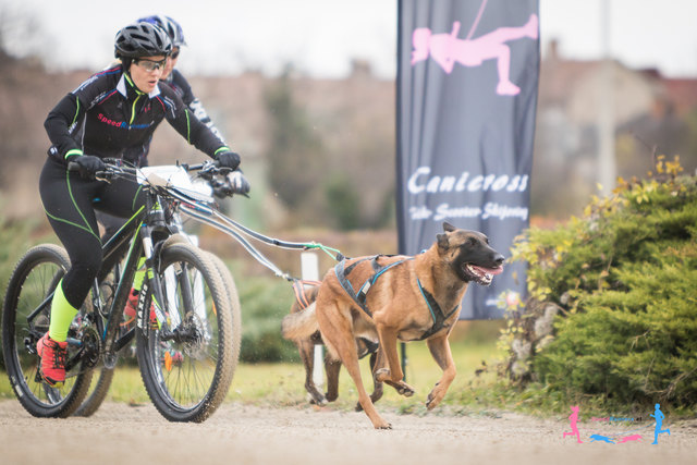 Bikejoering © SpeedRunners.at