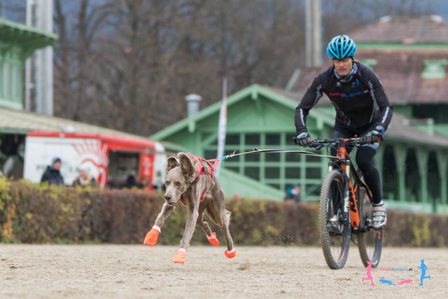 Bikejoering © SpeedRunners.at