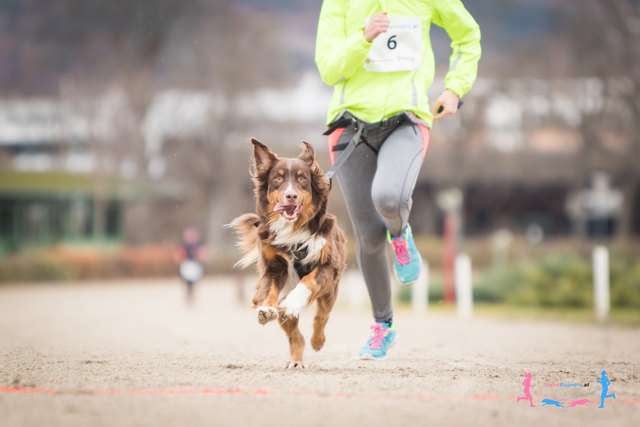 Canicross © SpeedRunners.at