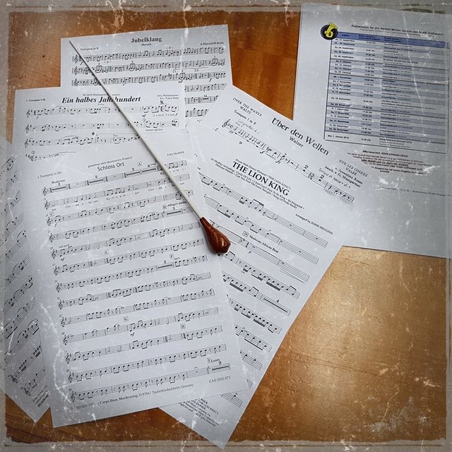 Johanna Heltschl, BA steht der Marktmusikkapelle Gallspach seit Anfang des Jahres 2017 als neue Kapellmeisterin vor und hat ein überaus abwechslungsreiches und ansprechendes Programm für das Wunschkonzert am 1. Jänner 2018 zusammengestellt.