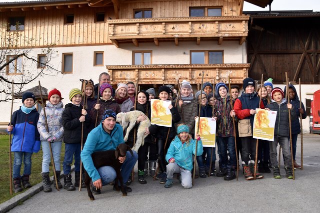 Am 17. Dezember findet der Innsbrucker Christkindleinzug statt: 25 Volksschüler übten schon fleißig mit den Schafen vom Max'n Hof.