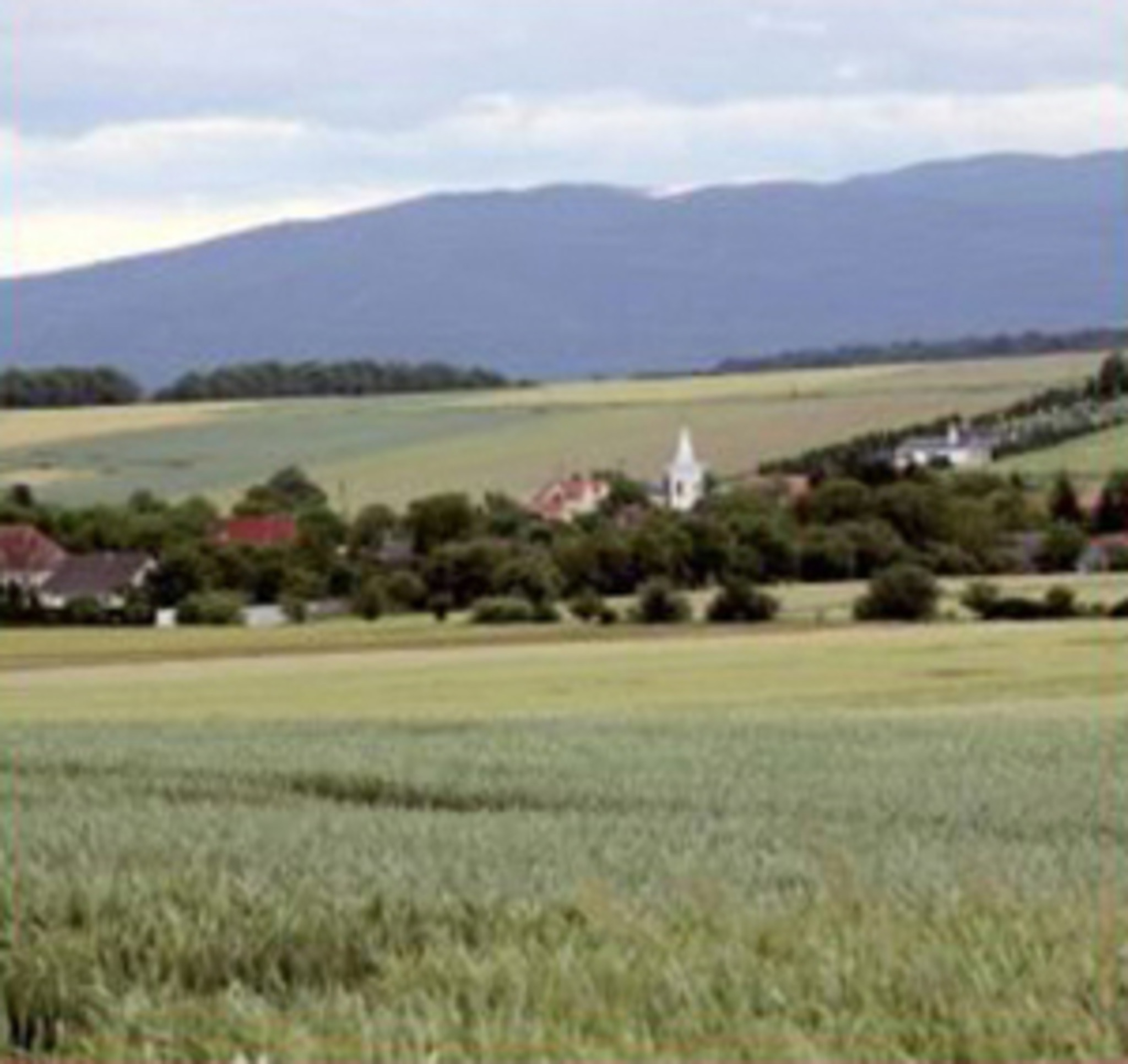 PANNONIEN Spuren einer Exkursion * Lesung Oberwart