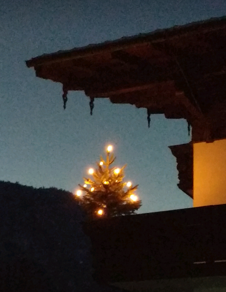 In der dunklen Jahreszeit freut man sich über die Lichterbäume bei vielen Häusern, sie stimmen uns ein auf die Weihnachtstage