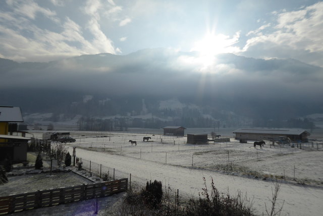 Bsuch Süd - diese Fläche soll umgewidmet werden | Foto: BB