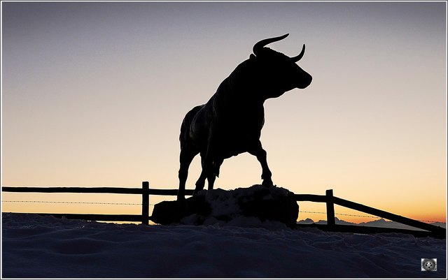 er kommt nicht vom Fleck