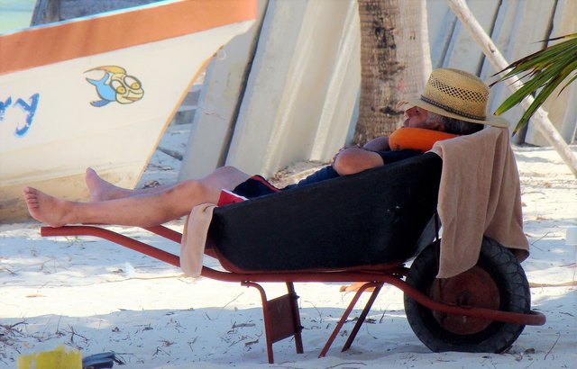 Durch das elegante Nackenhörnchen wird es erst so richtig gemütlich in der Scheibtruhe! Eine gute Idee, wenn das Bettchen für die Siesta fehlt!