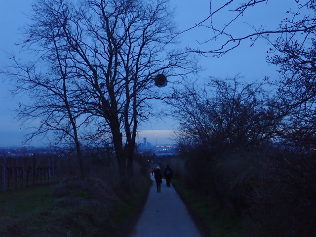 10.12.2017 Blick auf das abendliche Wien (von Stammersdorf aus gesehen)