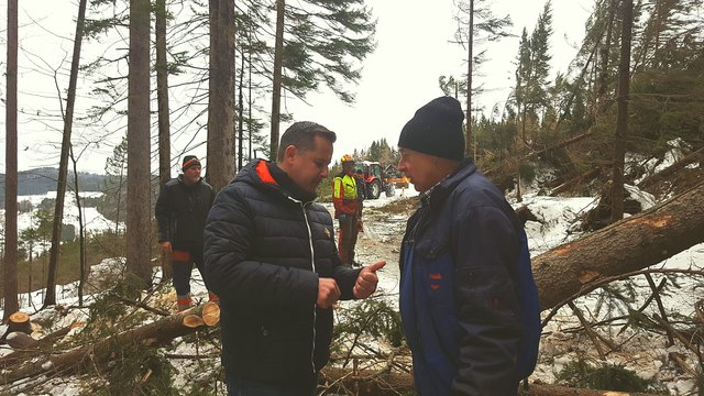 Bgm. Andreas Thürschweller im Gespräch mit betroffenen Grundstückbesitzern vor umgeknickten Baumriesen. | Foto: KK