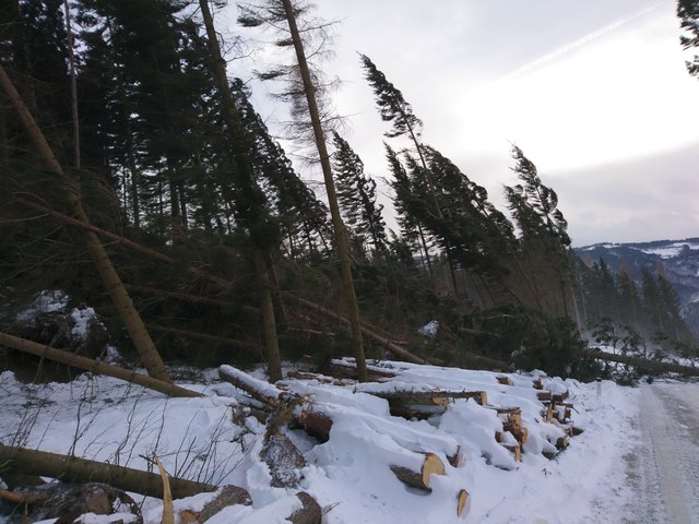 So dramatisch sieht es an der Lindnerstraße in Soboth aus. | Foto: KK