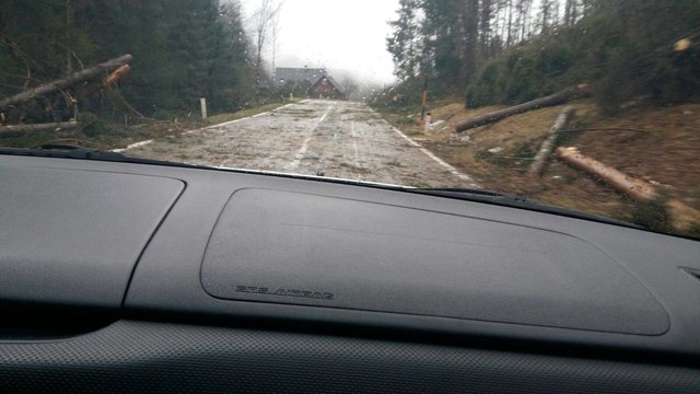 Auf dem Weg nach Ferlach | Foto: Kerstin Wutti