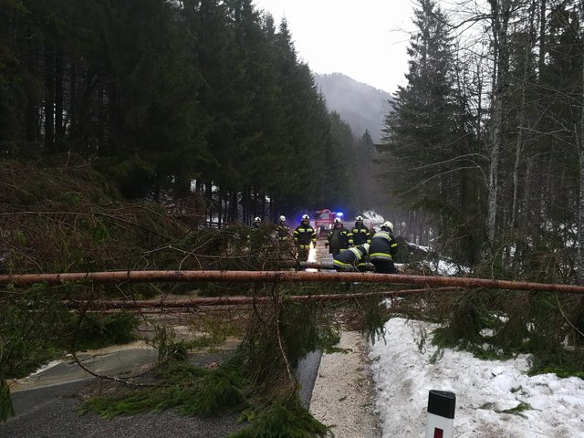 Die FF Unterbergen im Dauereinsatz | Foto: FF Unterbergen