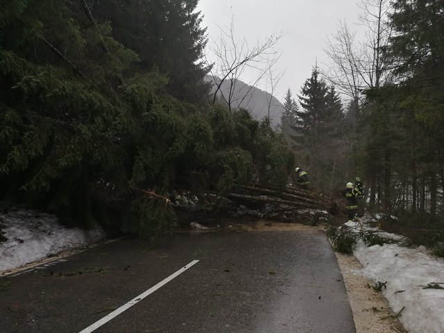 Foto: FF Unterbergen