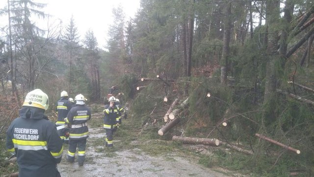 Föhnsturm-Einsätze im Abschnitt Grafenstein | Foto: BFKDO Klagenfurt Land