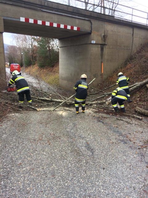 Einsätze im Abschnitt Rosental | Foto: BFKDO Klagenfurt Land