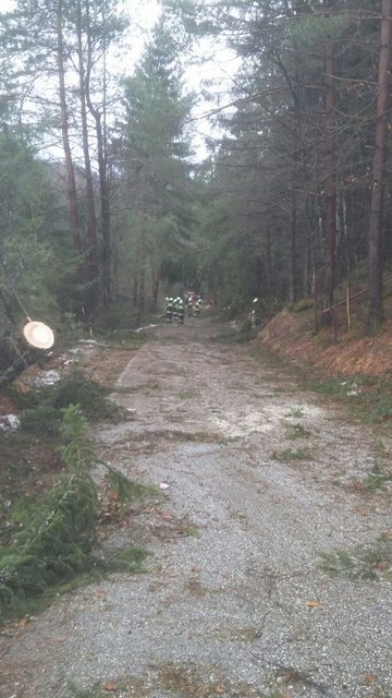 Föhnsturm-Einsätze im Abschnitt Grafenstein | Foto: BFKDO Klagenfurt Land