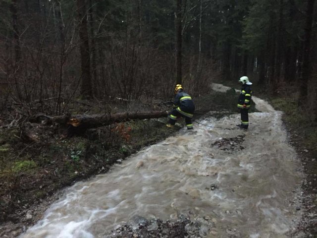 Einsätze im Abschnitt Rosental | Foto: BFKDO Klagenfurt Land