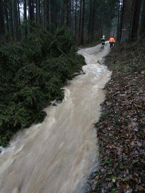 Einsätze im Abschnitt Rosental | Foto: BFKDO Klagenfurt Land