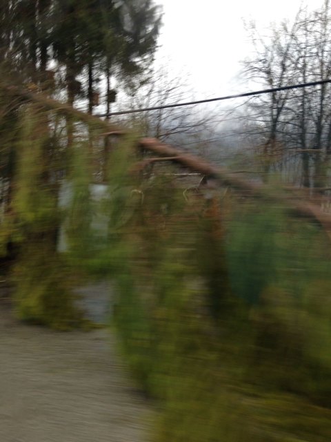 Foto: Roman Kaiser