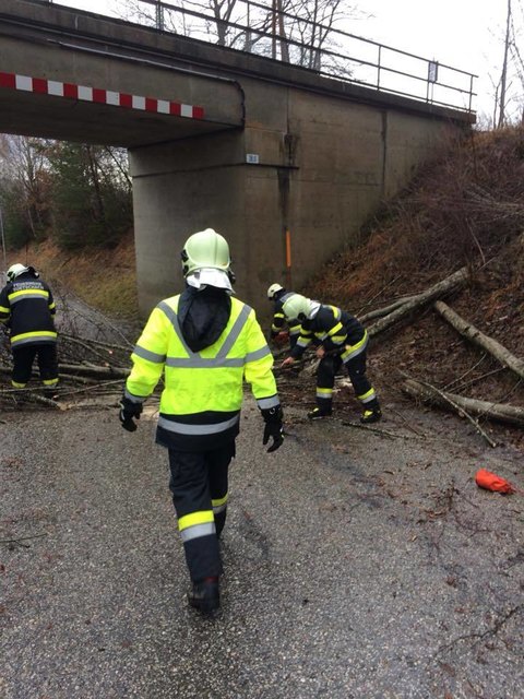 Einsätze im Abschnitt Rosental | Foto: BFKDO Klagenfurt Land