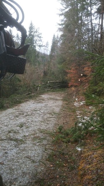 Einsätze im Abschnitt Grafenstein | Foto: BFKDO Klagenfurt Land