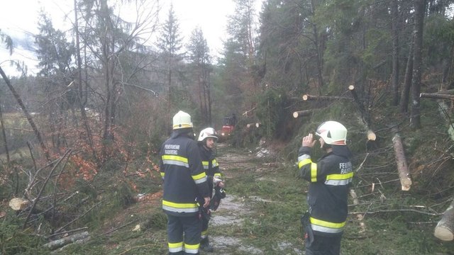 Föhnsturm-Einsätze im Abschnitt Grafenstein | Foto: BFKDO Klagenfurt Land