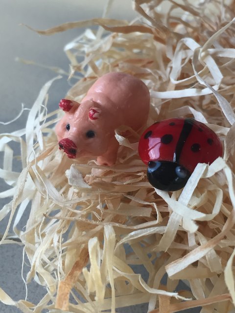 Symbolbild: Verena Siebenhofer