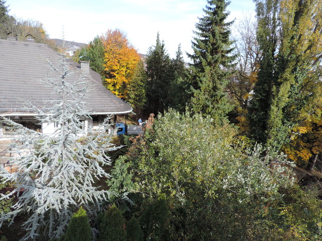 Die Bäume auf dem Grundstück der mondänen Villa Lady Edith sollen einem Haus mit 30 Wohnungen weichen.