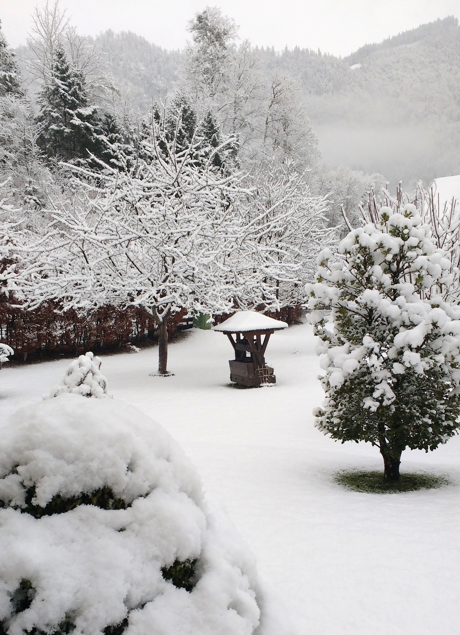 Da Winter Der Is Ma Ned Zwida Da Gfrei I Mi Tennengau