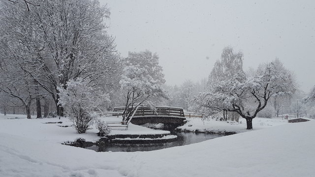 Der Schnee verzaubert den Stadtpark