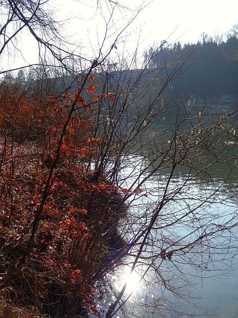 Angebote Urlaub mit Hund Bad Sankt Leonhard im Lavanttal. Karte. Karte ausblenden. Kategorien. Wanderurlaub. 12. Mountainbikeurlaub. 12. Familienurlaub. Angebote Urlaub mit Hund Bad Sankt Leonhard im Lavanttal