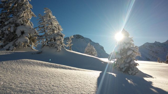 Weiße Weihnacht; ich möchte allen das Licht, das wertvolle Licht schicken, helle Weihnacht!