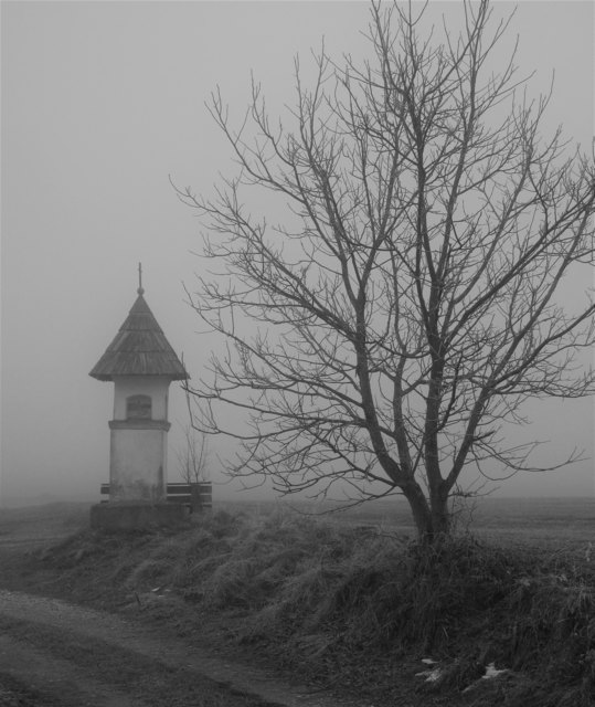 Dezembernebel