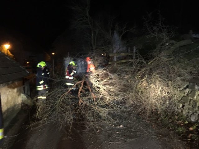 Durch den starken Sturm war ein Baum umgestürzt und versperrte die Durchfahrt. | Foto: FF Pyhra