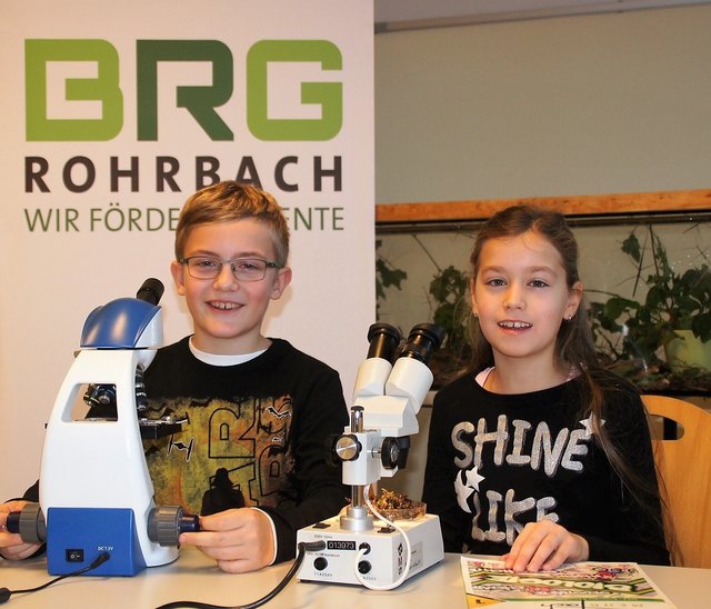 Naturwissenschaftliches Experimentieren