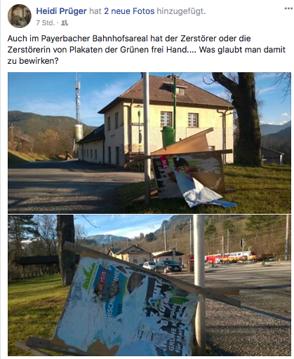 Grüne-Gemeinderätin Heidi Prüger dokumentierte die Zerstörungswut.