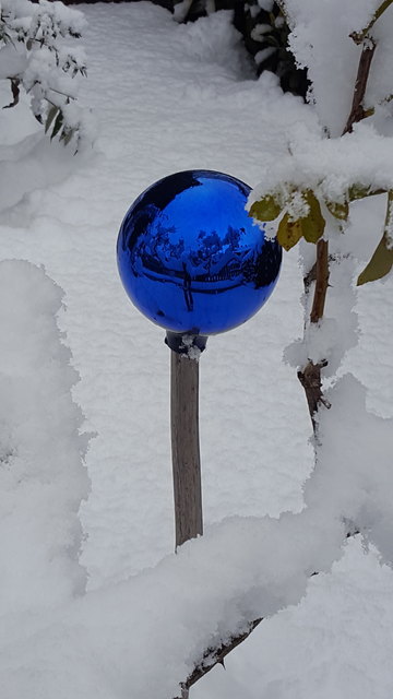 Jetzt im Winter ist diese Rosenkugel im Schnee ein echter Blickfang. Später, im Sommer, wird sie inmitten einer duftenden Blütenfülle ganz unscheinbar wirken...