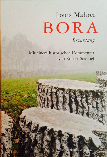Buchcover Bora | Foto: Verlag Bibliothek der Provinz