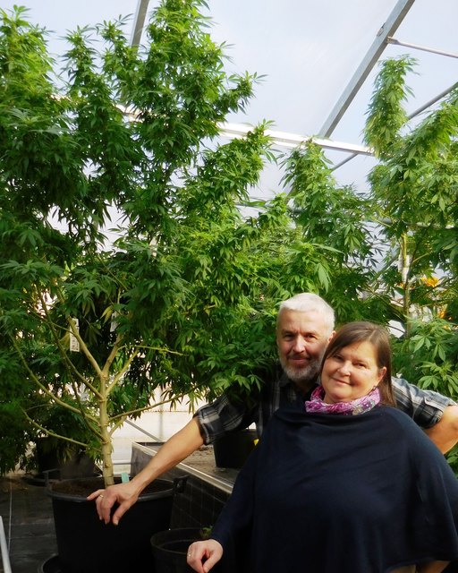 Walter und Monika Stockenhuber werden in Engelhartszell über Cannabis als Medizin informieren – geführt auf Vereinsbasis. | Foto: Stockenhuber