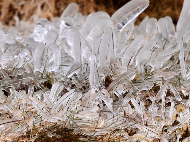 Jedes Gräschen seinen eigenen Eisüberzug!