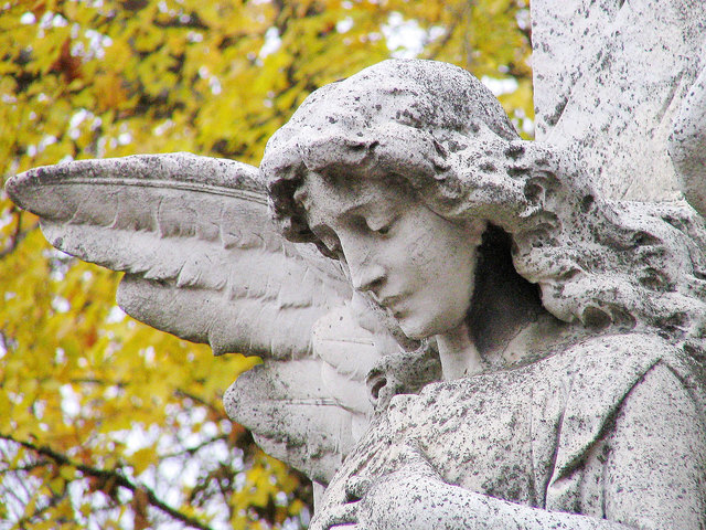 Der Vortrag soll Fragen nach dem Warum beantworten (Foto: Pixabay)