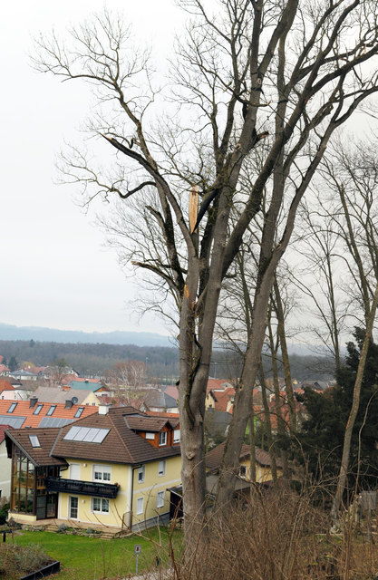 Foto: Büro land.schafft