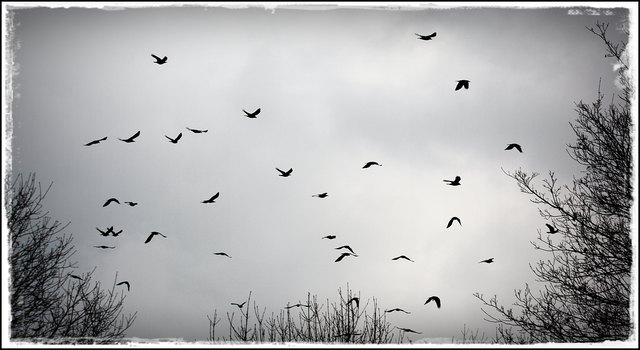 Ein "Schuss" der sie vertrieb