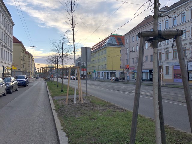 Neue LED-Lampen und Bäume gibt es für die Hernalser Hauptstraße.