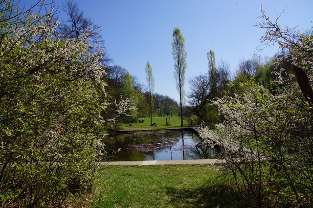Der Pappelteich in Liesing ist für und Jung und Alt zu jeder Jahreszeit einen Besuch wert. | Foto: Alois Fischer
