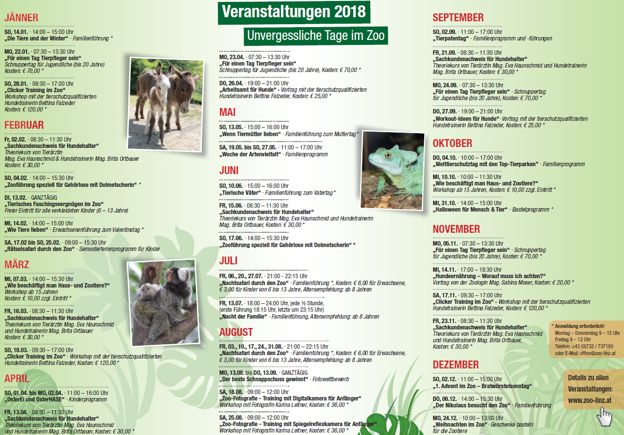 Programmfolder 2018