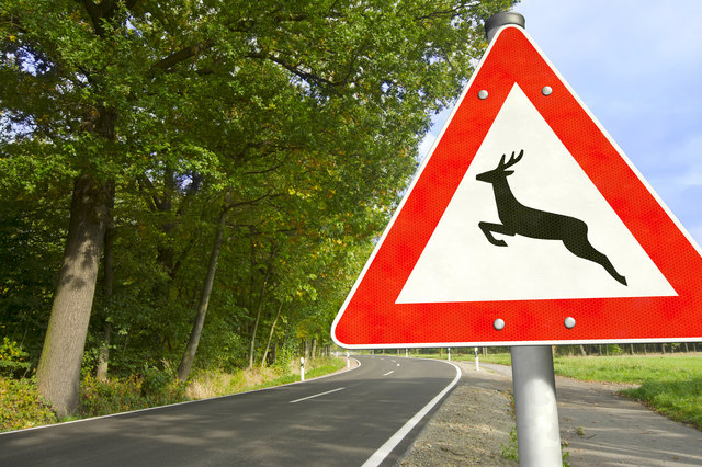 Zwei Jugendgruppen sollen die Straßenverkehrszeichen laut Polizei abmontiert und so einen Gesamtschaden von rund 1.000 Euro verursacht haben. | Foto: bluedesign/Fotolia