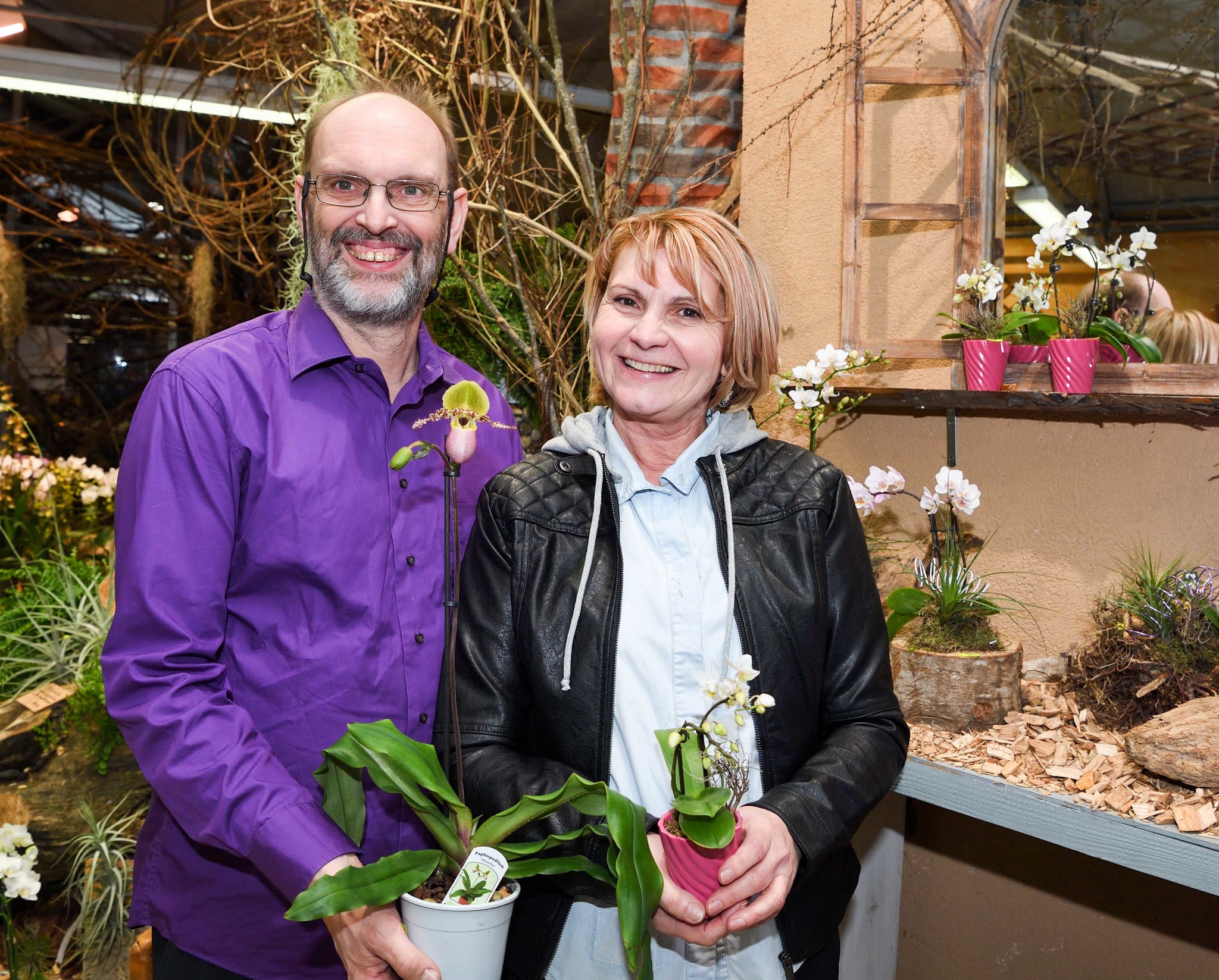 Orchideen regieren in der Gärtnerei Wunder Klagenfurt Land