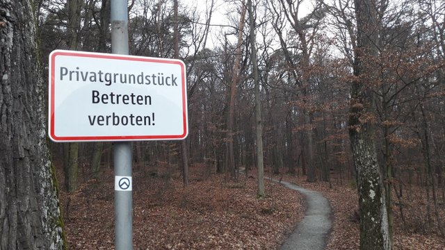 Derzeit ist der Vogelsangwald für Besucher gesperrt. | Foto: privat